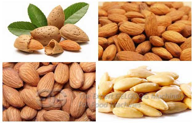 almond peeler machine for sale in China