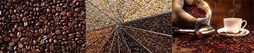 coffee beans husking machine
