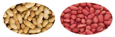 Peanuts Sheller Machine Manufacturer