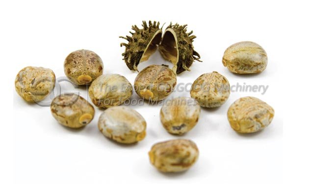 castor seeds sheller machine