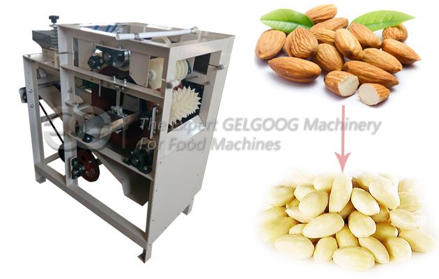 wet almond peeling machine