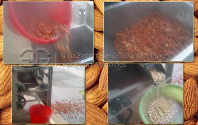 wet almond peeling machine