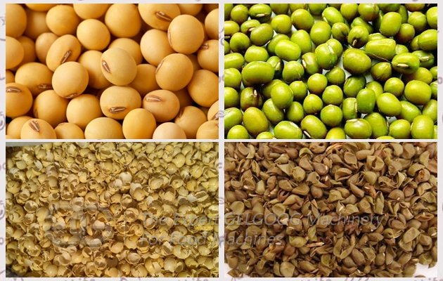 Soybean