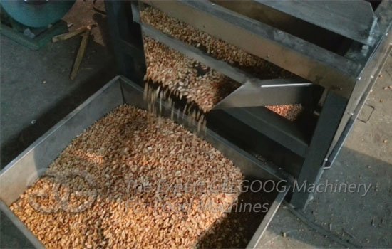 Groundnut Peeling And Half Cutting Machine