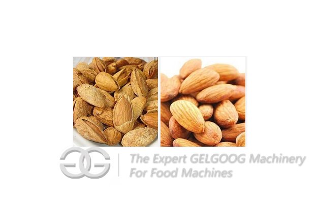 almond husker machine