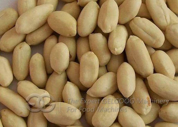 Peeling Machine for Peanut Red Skin