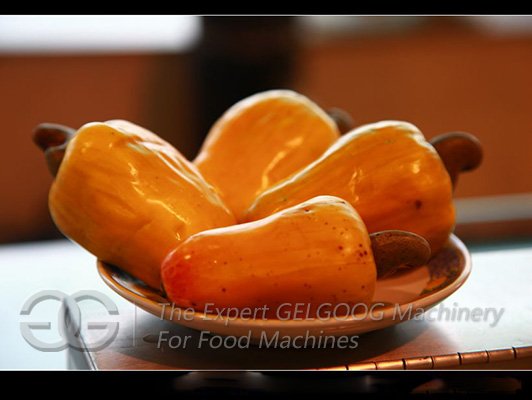 cashew import record news