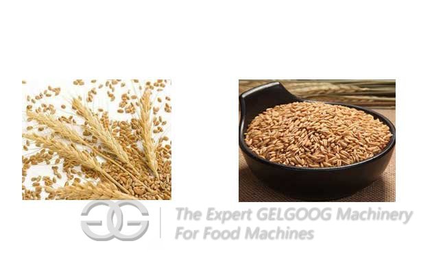 buckwheat shelling machine