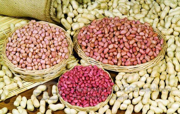 peanut shelling peanut shelling