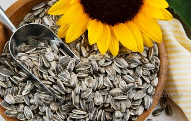Roasting Equipment for Sunflower Seed