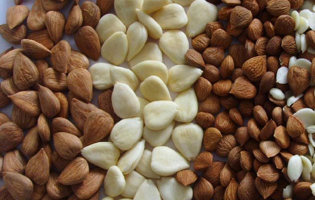 Almond Skin Peeler Machine