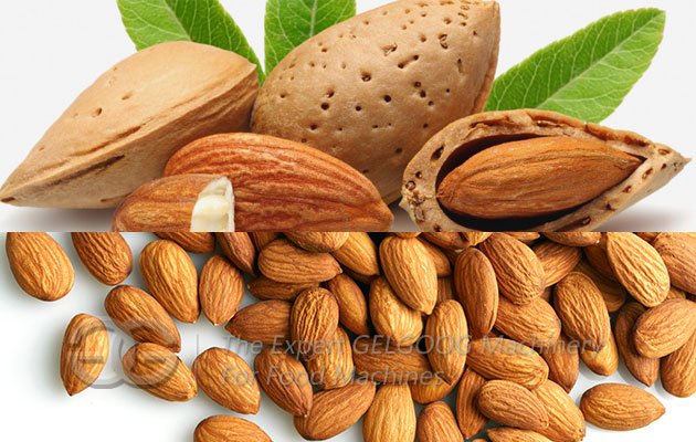 Commercial Almond Sheller Machine