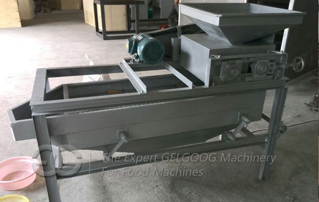 Camellia Fruit Shelling Machine