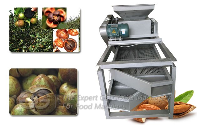 Camellia Fruit Shell Cracking Machine