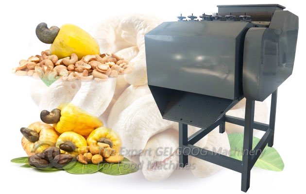 Kaju Shelling Equipment