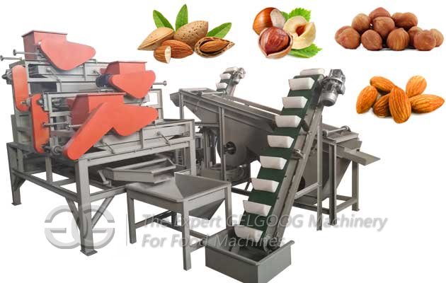 Hazelnut Sheller Line Price
