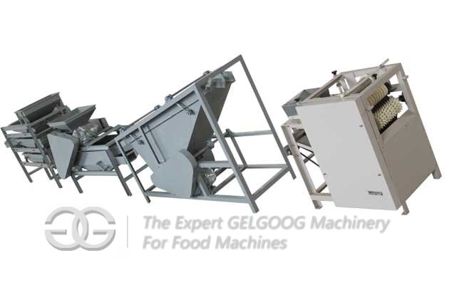 Hazelnut Shelling Production Line