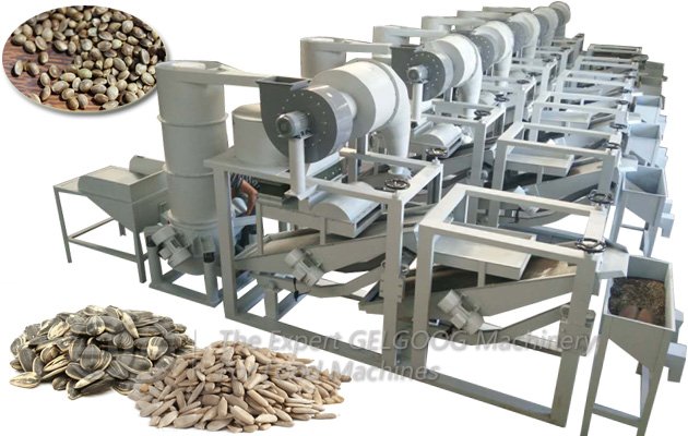 Sacha Inchi Hulling Machine