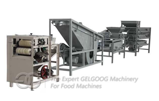 Almond Shelling Production Line